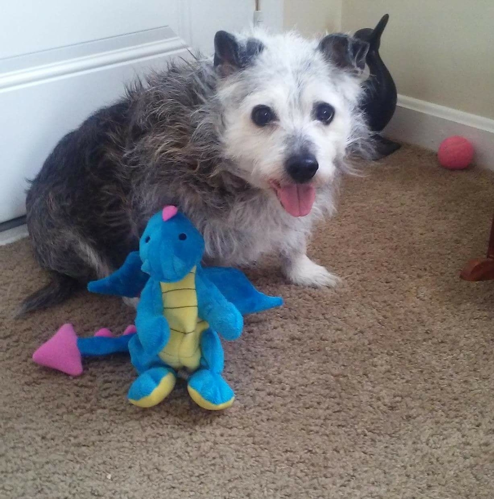 Meet your Posher, Robin